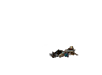 Cadavre de droïde dans le jeu Space Trooper